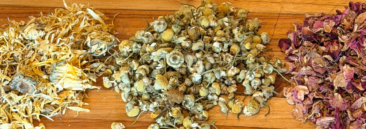 Why Calendula, Chamomile & Rose Are Infused Into Jojoba Oil